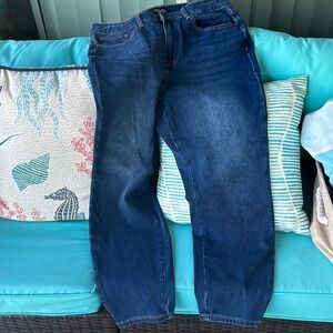 Great like new Judy Blues jeans, size 14w